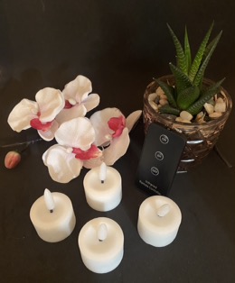 IMG_8277 fyrf. 2 hvid